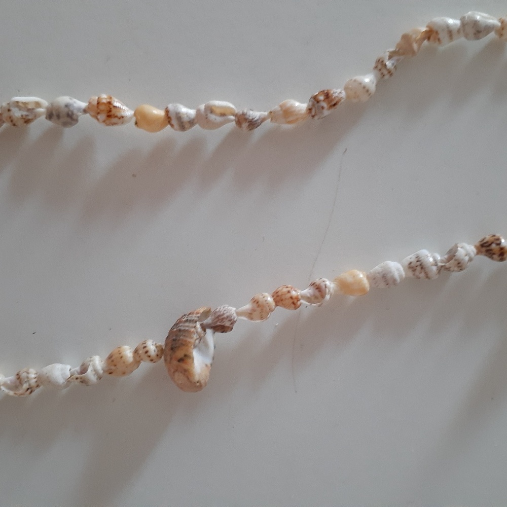 Shell Necklace - Picture 3 of 8